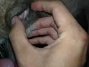 Трахает суку