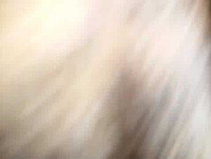 Пес делает куни перед сексом и вычищает жену после мужа