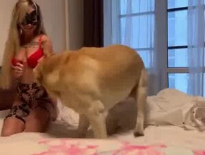 Соня валяется с псом, дрожит и сосёт ему и получает под хвост