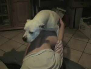 Молодая подруга дает собаке