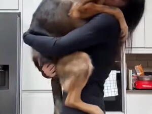 Dog breast fuck dressed