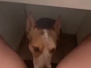 Licked under the table