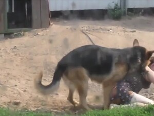 No file chosen drunk mom wanders into the wrong backyard