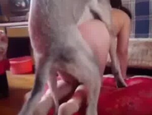 My dog know how to ride me hard and makes me scream