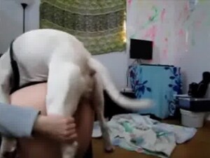 Naked bitch films herself at home getting dog fucked in the pussy