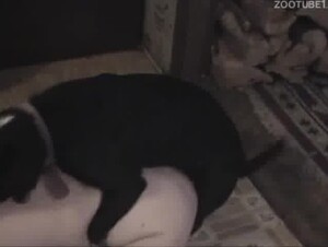 DOBLE PENETRACION A UNA MILF NINFOMANA