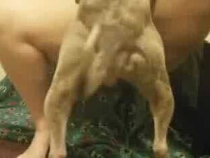 GORDIBUENA MUY SABROSA