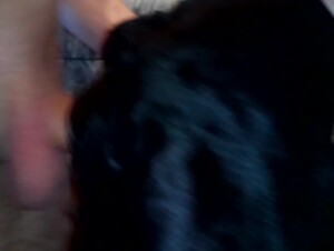 BWC creampies dogs pussy