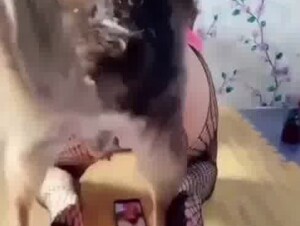 Cheating wife and dog