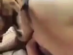 Dog sex 💗👅