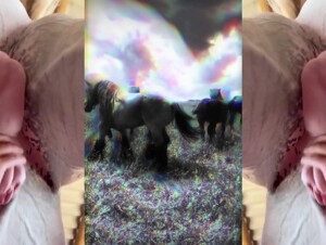 PMV - Horse (Let it go)