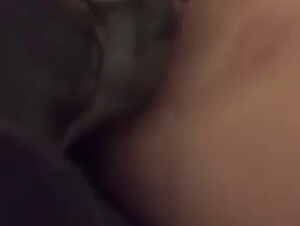 Dog and husband fight for the pussy