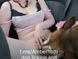 Dog licking vids🥰🥰👅👅👅