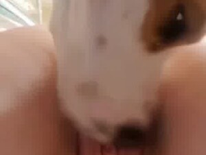 My dog is very naughty