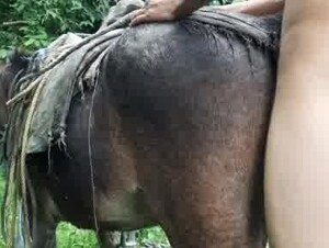 The pleasure gets from fucking a horse's pussy is not in a wife's pussy.
