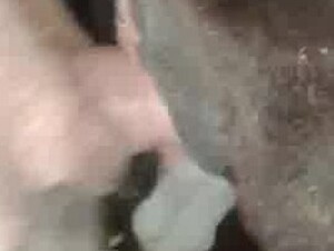 Fucking a virgin culf pussy