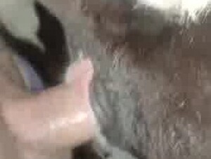 Virgin calf deep fuck and fill her pussy