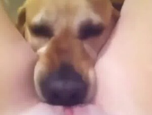 Sweet licking vids 🥰🥰👅👅💗