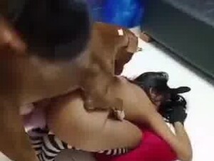 Z00philia collection