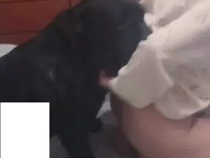 2026 New chinese girl with dog