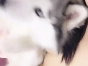 Watch me Live in Action.. Streams Video Session/performance with my Dog