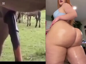The horse is ready to spring into action against that fat ass