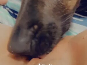 Sweet dog licking my juicy pussy