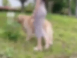 Korean girl love to try dog