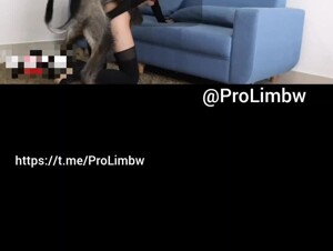 New Lena in HundeHammer2