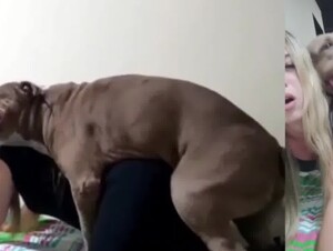 Blonde Teen Fucks Dog on Cam