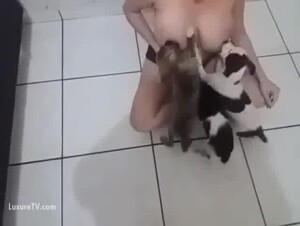 Breastfeeding puppies