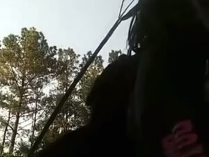 Girl let her horny dog fuck her in the bushes -1