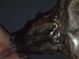 Licking my sexy pussy