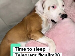 Une grosse bite coincé dans mon cul