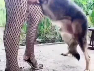 Chinese cheating wife happy play with dog