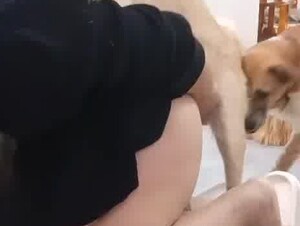 dog Fucking their mom so hard one by one