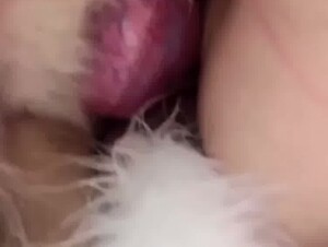 Thumb 8