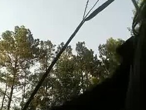 Girl getting absolutely RAILED in the woods by stud dog 1