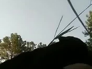 Girl getting absolutely RAILED in the woods by stud dog 2