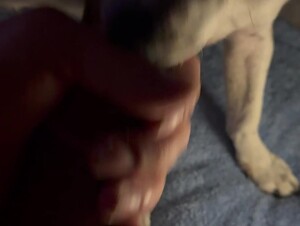 Shadow loves my Cock