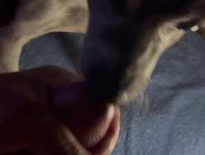 Thumb 9