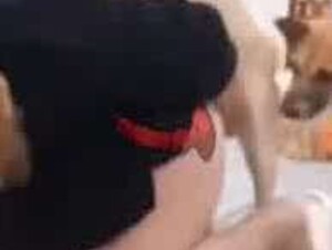 Thumb 6