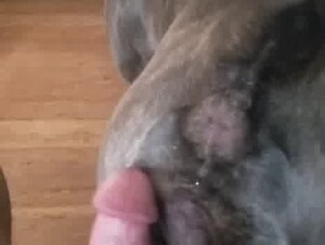 Thumb 8