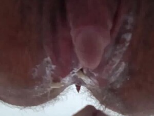Gatinho lambendo minha vagina Trans