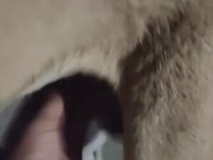 Xxx video