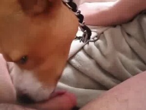 Thumb 10