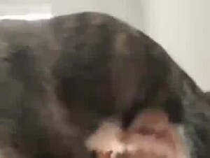 Thumb 6
