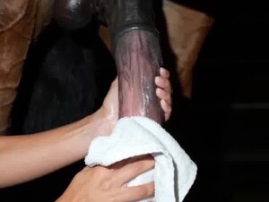Thumb 6