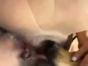 Hot Dog Sex Videos