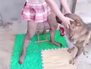 Dog so hurry cuz DAD gonna back home